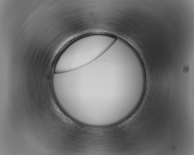 X0000114400934200911131403