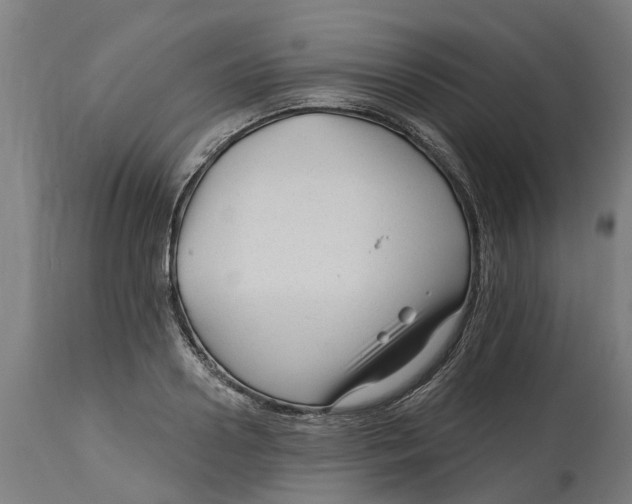 X0000114400938200911131403