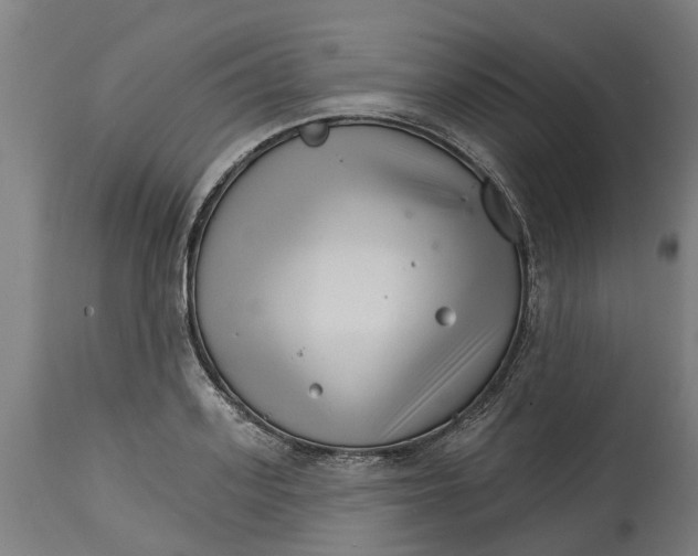 X0000114400939200911131403