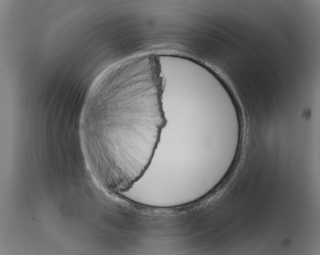 X0000114400941200911131403