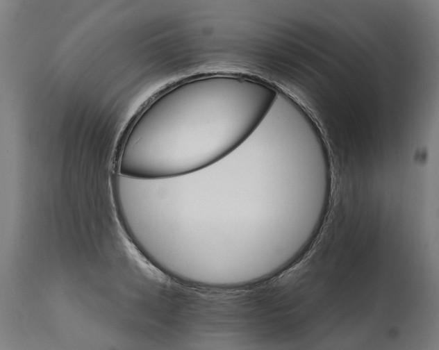 X0000114400942200911131403