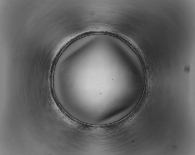 X0000114400943200911131403