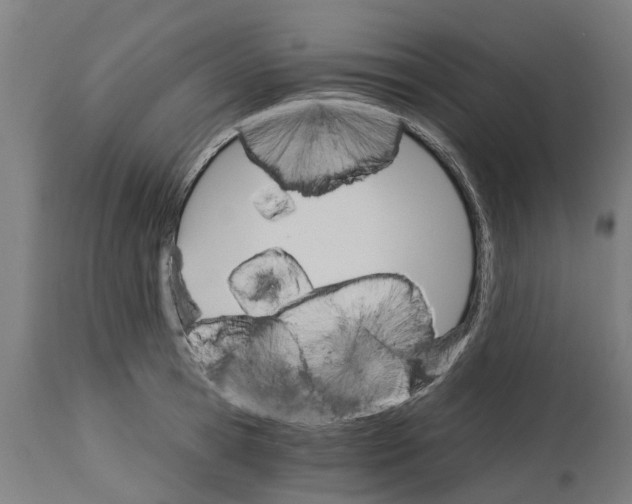 X0000114400945200911131403