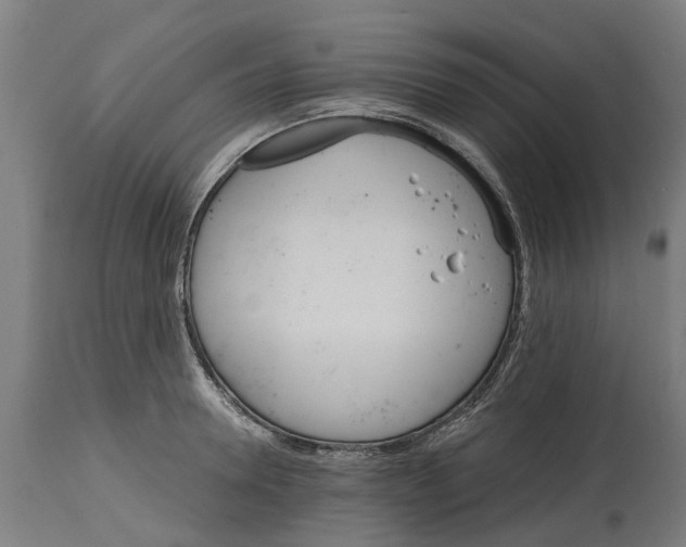 X0000114400946200911131403