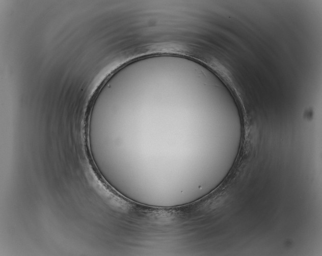 X0000114400947200911131403