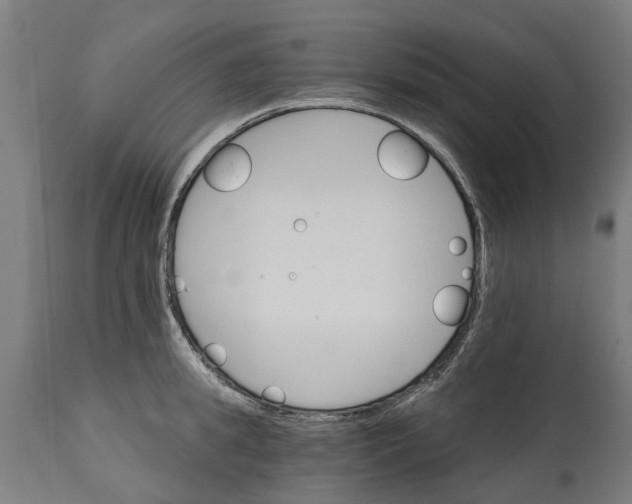 X0000114400949200911131403