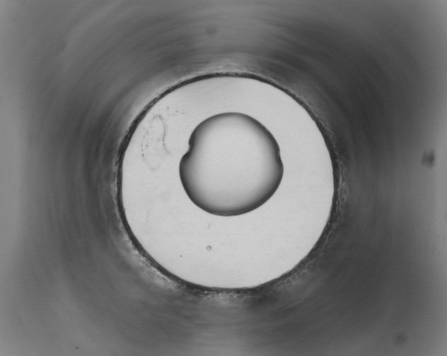 X0000114400950200911131403