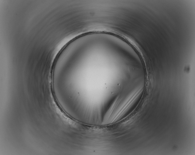 X0000114400951200911131403