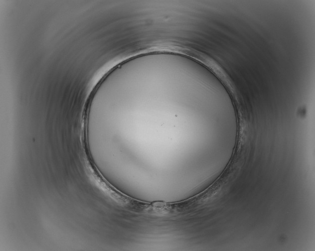 X0000114400955200911131403