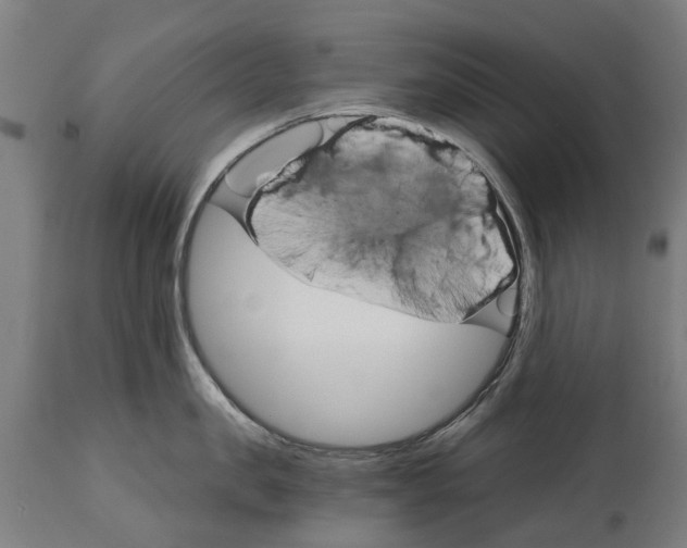 X0000114400957200911131403