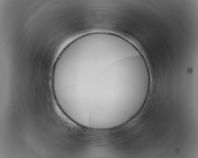 X0000114400958200911131403