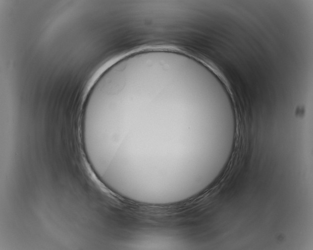 X0000114400959200911131403