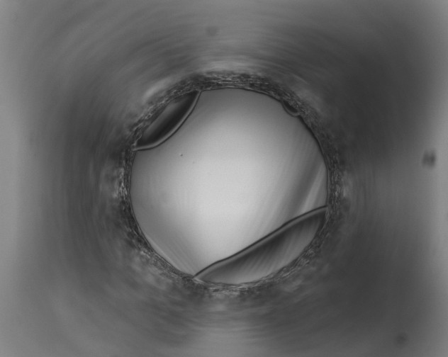 X0000114400965200911131402