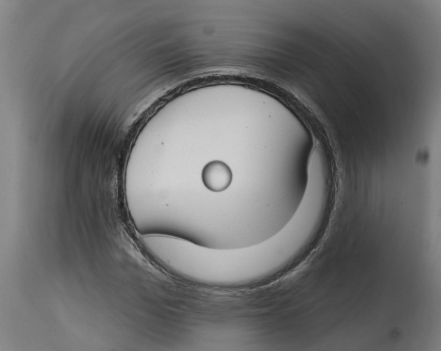 X0000114400969200911131402