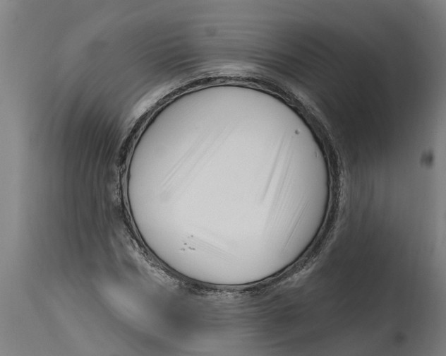 X0000114400970200911131402