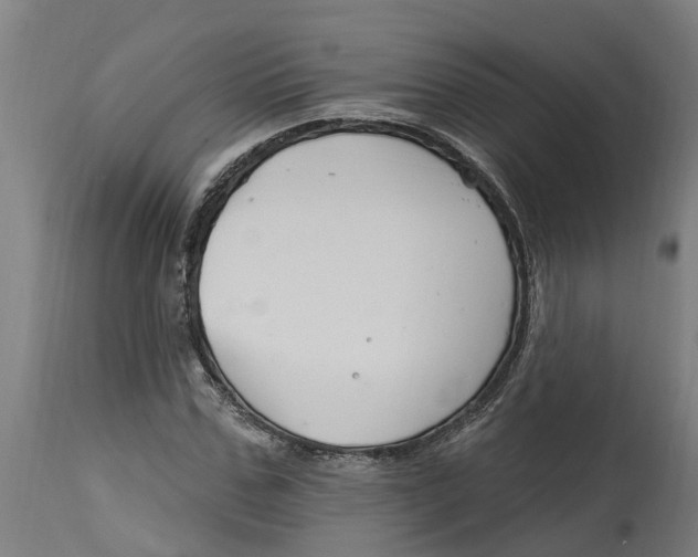 X0000114400971200911131402