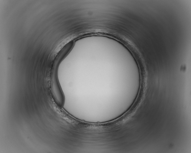 X0000114400977200911131402