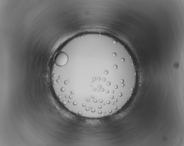 X0000114400978200911131402