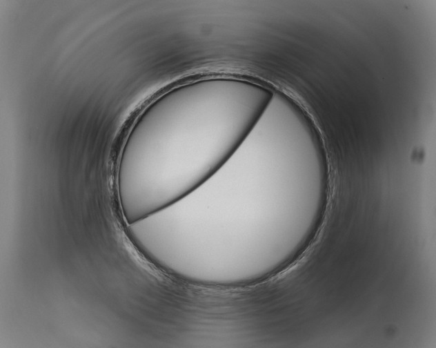 X0000114400981200911131402