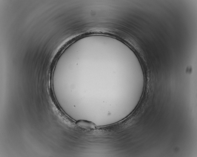 X0000114400984200911131402