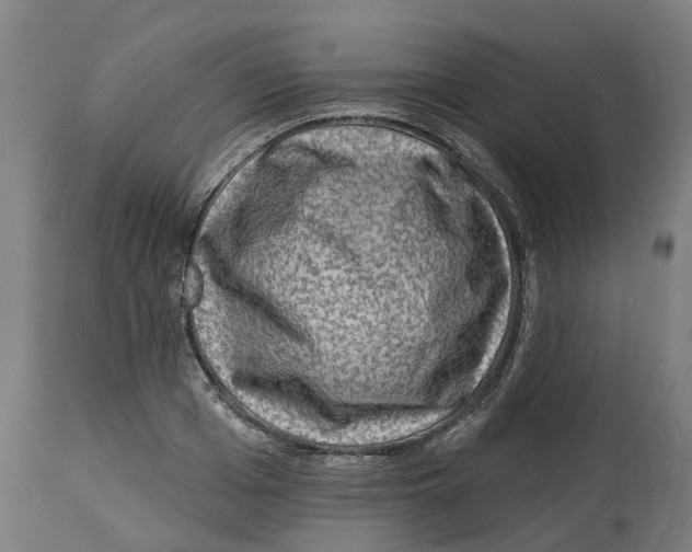 X0000114400985200911131402