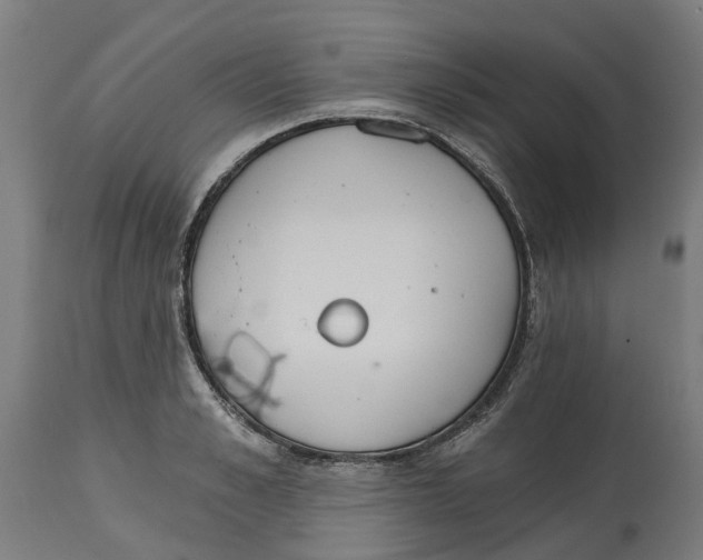 X0000114400989200911131402