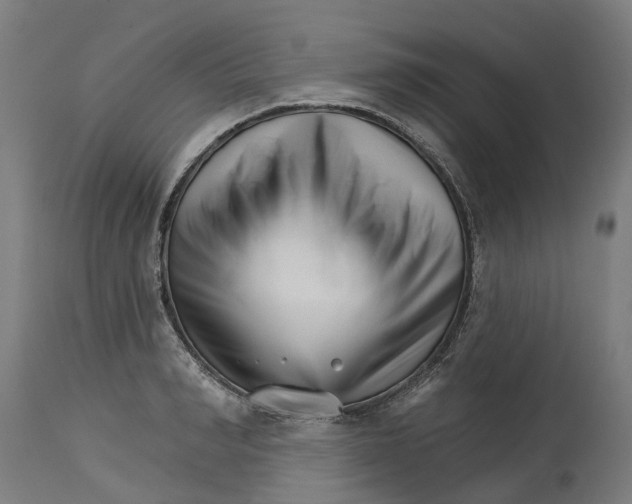 X0000114400990200911131402