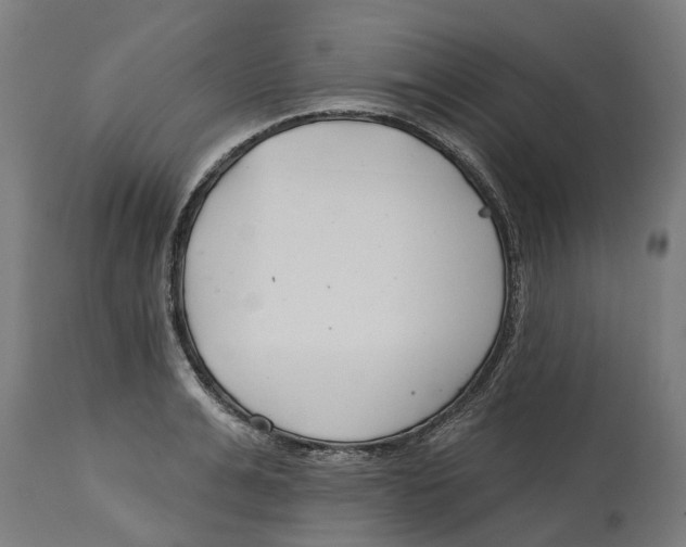 X0000114400991200911131402