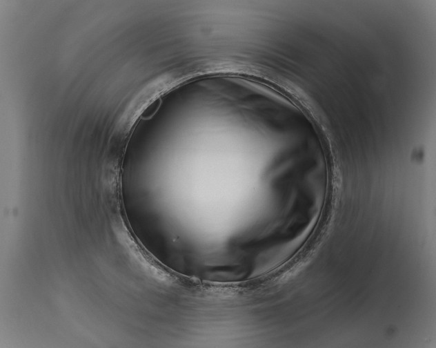 X0000114400993200911131402