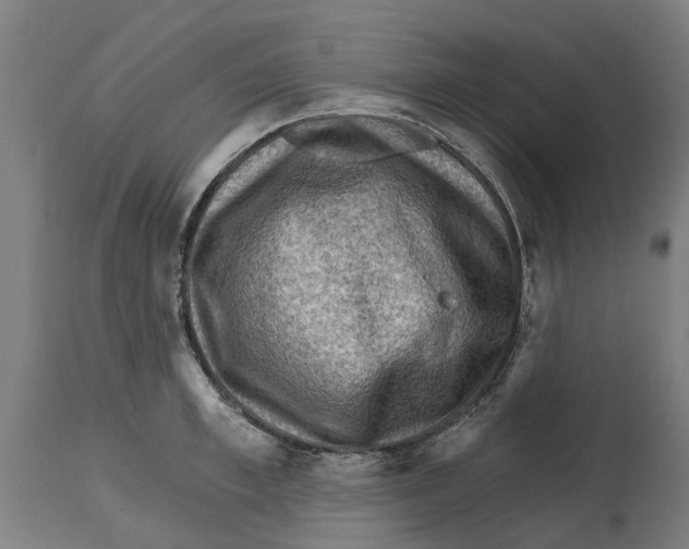 X0000114400997200911131402