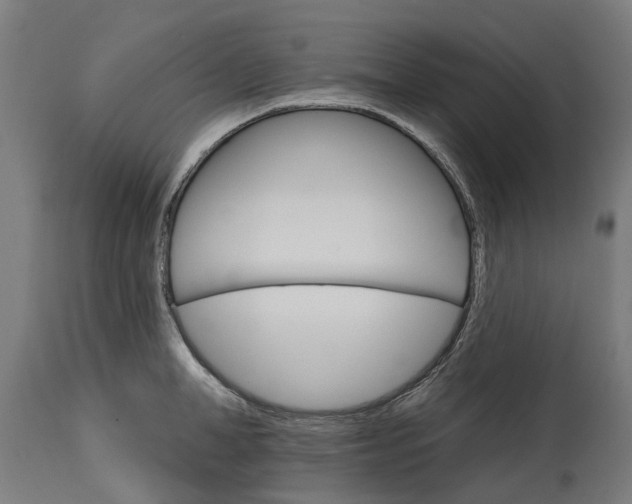 X0000114400998200911131402