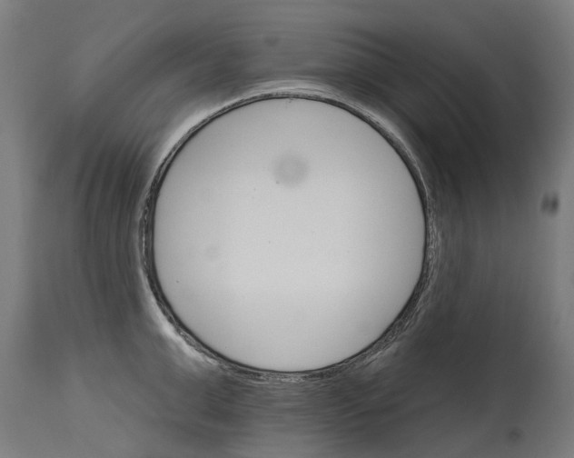 X0000114400999200911131402