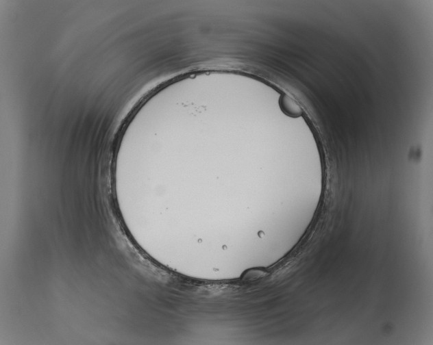 X0000114401000200911131402