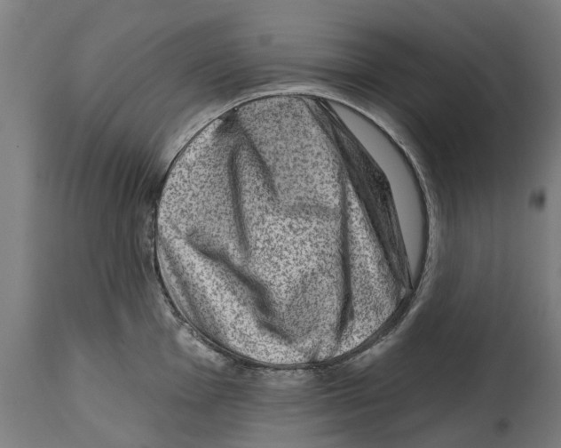 X0000114401001200911131402