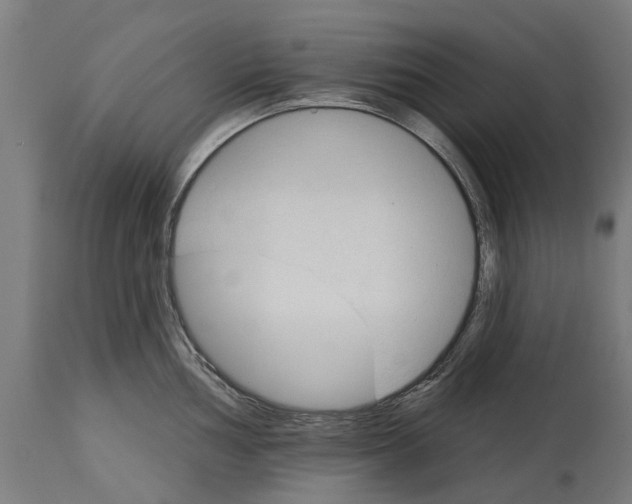 X0000114401002200911131402