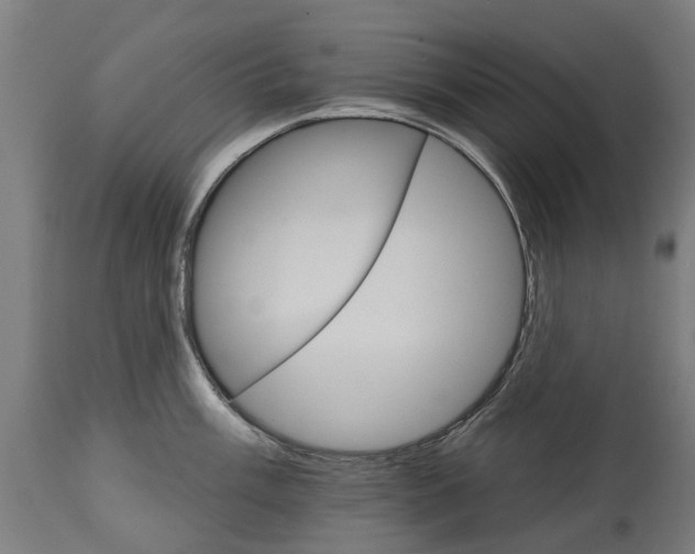 X0000114401003200911131402