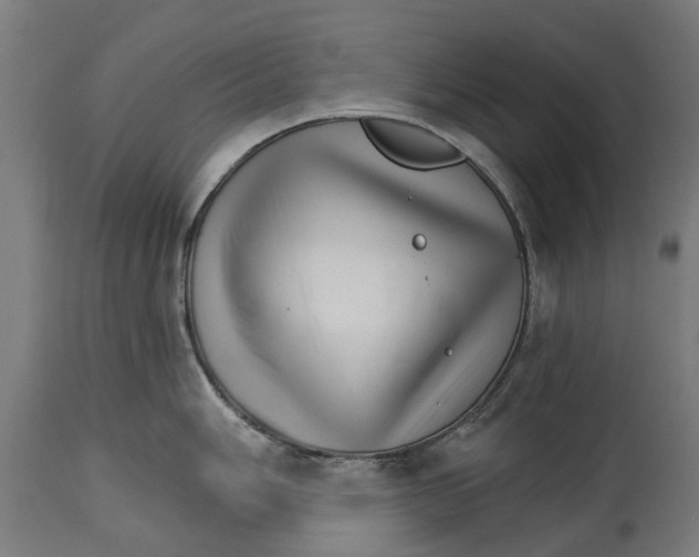 X0000114401006200911131402