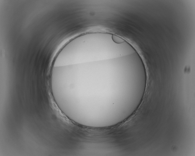 X0000114401008200911131401