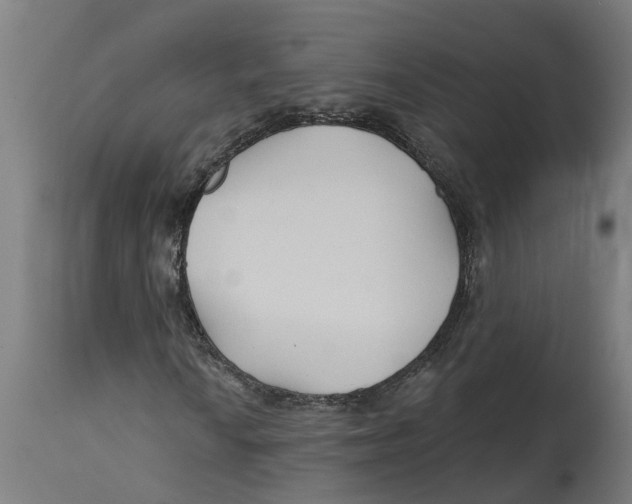 X0000114401010200911131401