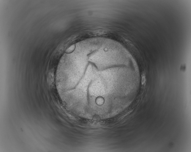 X0000114401011200911131401