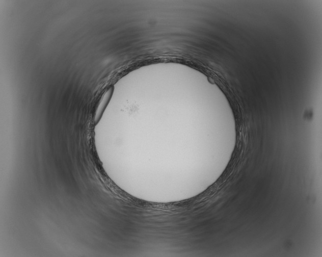 X0000114401012200911131401