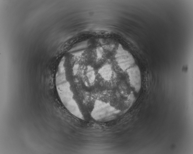 X0000114401013200911131401