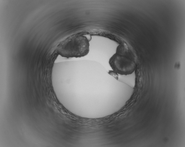 X0000114401016200911131401