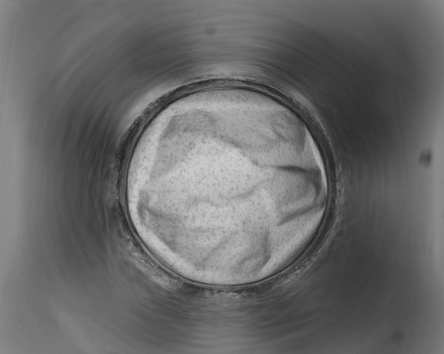 X0000114401019200911131401