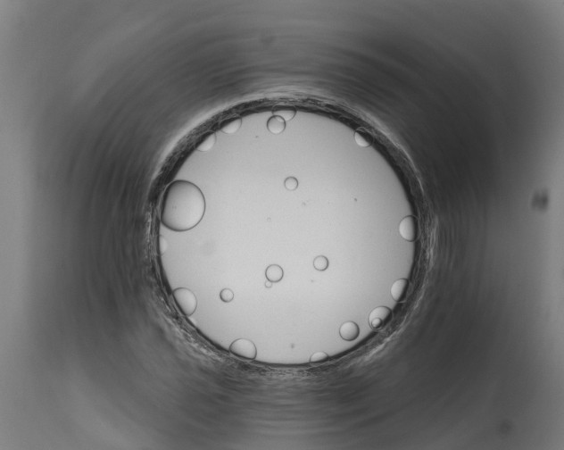 X0000114401021200911131401