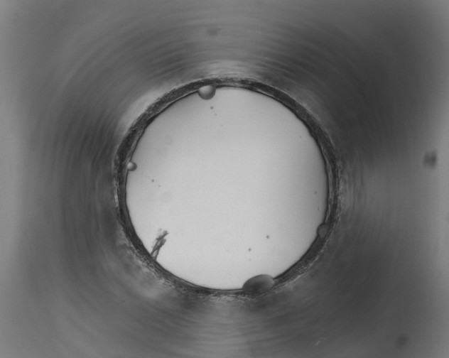 X0000114401022200911131401