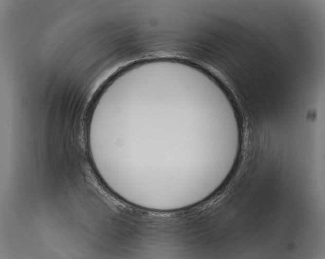 X0000114401023200911131401