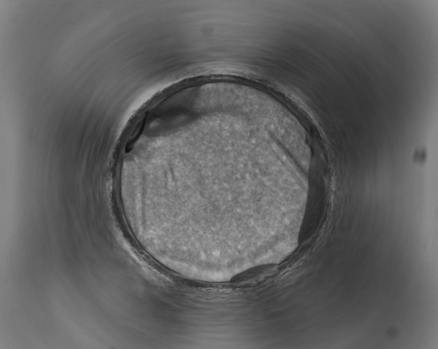 X0000114401024200911131401