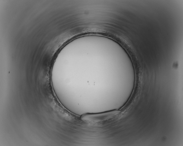 X0000114401025200911131401