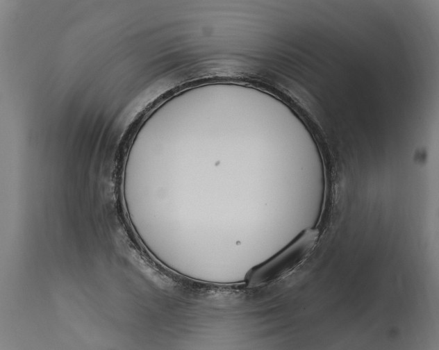 X0000114401026200911131401